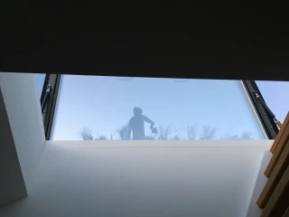 Silhouette d'une personne au-dessus d'une fenêtre, avec des plantes en arrière-plan. Un ciel bleu est visible au-delà de la vitre.