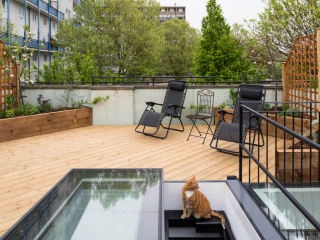 Terrasse en bois avec des chaises longues et une petite table. Un chat orange est assis au bord des escaliers menant à l'intérieur. Des arbres verdoyants entourent l'espace.