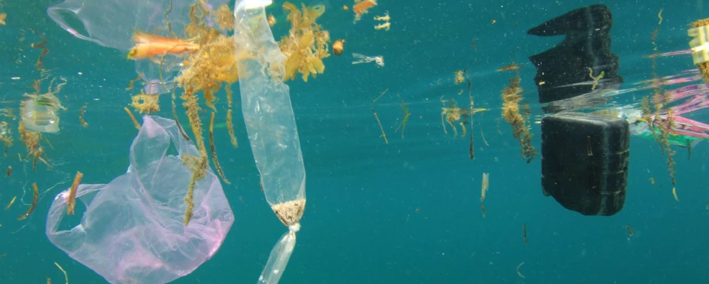 Plastic in the sea