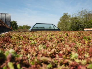 Pyramid skylight ontop of grassy roof